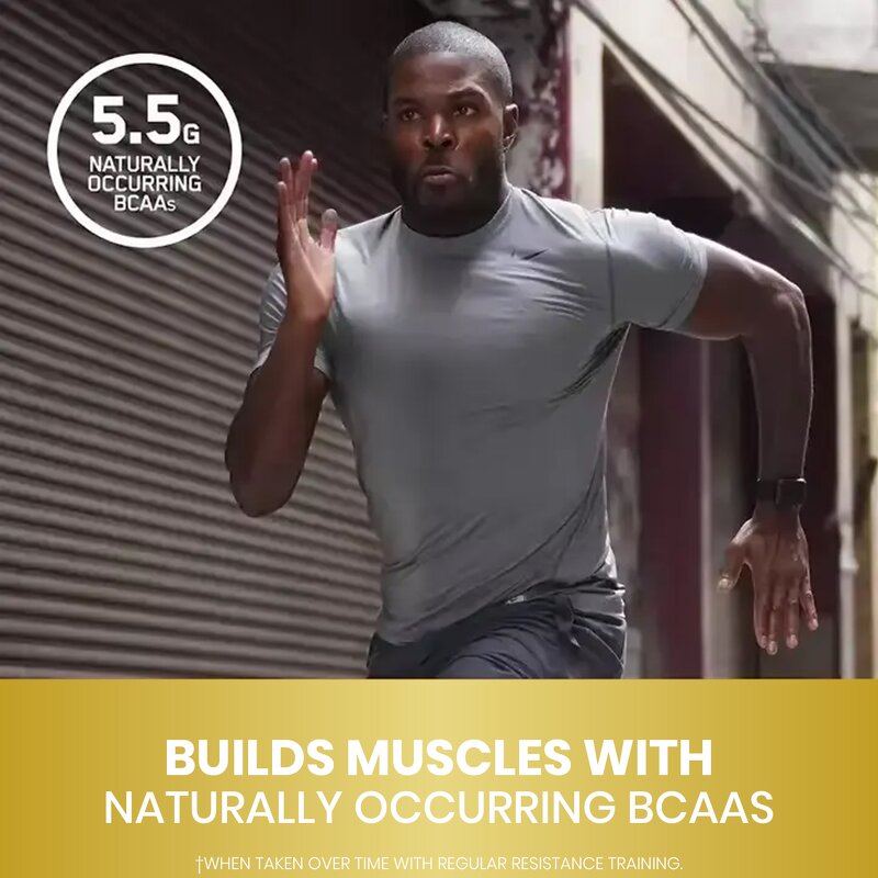 Whey Protein Supplement - Manufacturer ODM/EDM Chocolate Gluten-Free Muscle Recovery