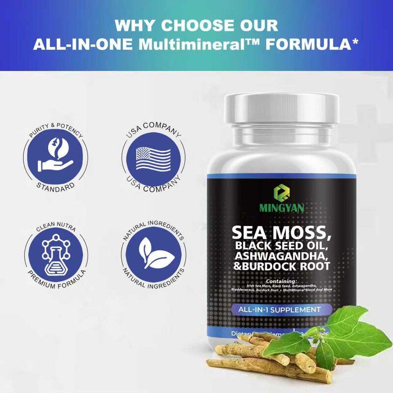 Whey Protein Powder - Manufacturer OEM/ODM Gold Standard 24g Protein Chocolate