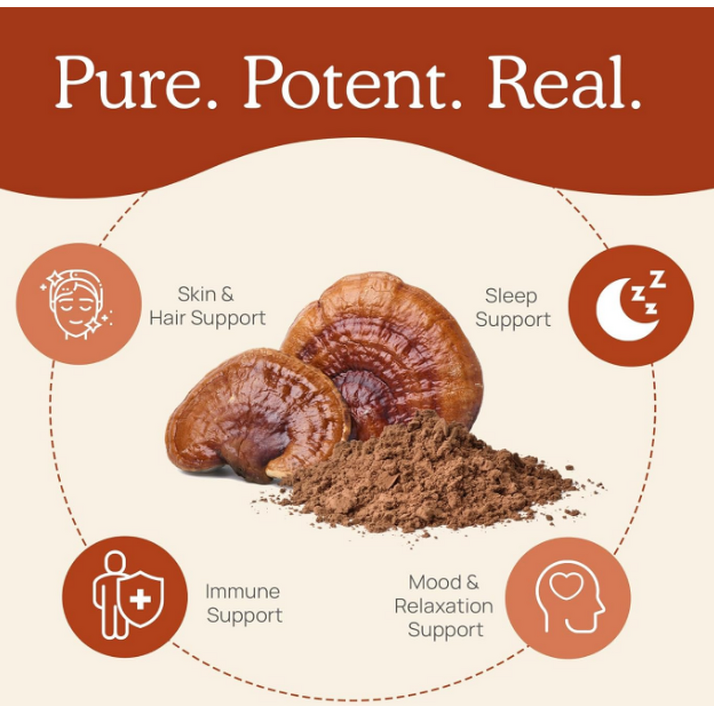 Reishi Extract Capsules - Manufacturer OEM/ODM Ganoderma Spore Immune Support
