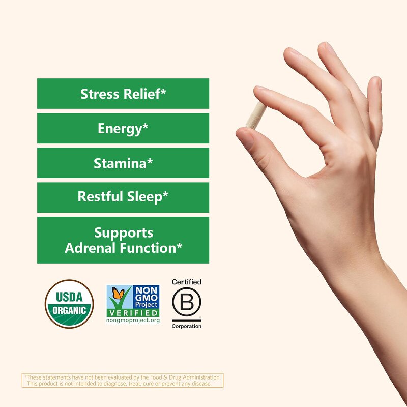 Ashwagandha Capsules - Manufacturer OEM/ODM 800mg Vegan Organic Energy 60Ct