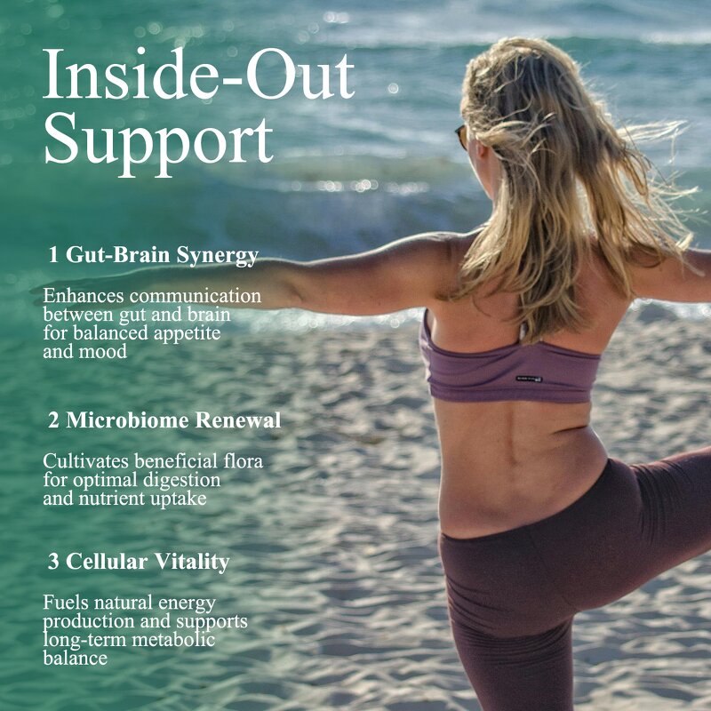 GLP-1 Supplement - Manufacturer GMP Weight Loss Appetite Suppressant Fat Burner