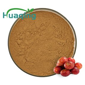 Camu Camu Powder Manufacturer - Freeze-Dried 50:1 Extract 60x Vitamin C