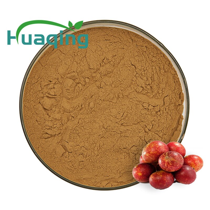 Camu Camu Powder Manufacturer - Freeze-Dried 50:1 Extract 60x Vitamin C