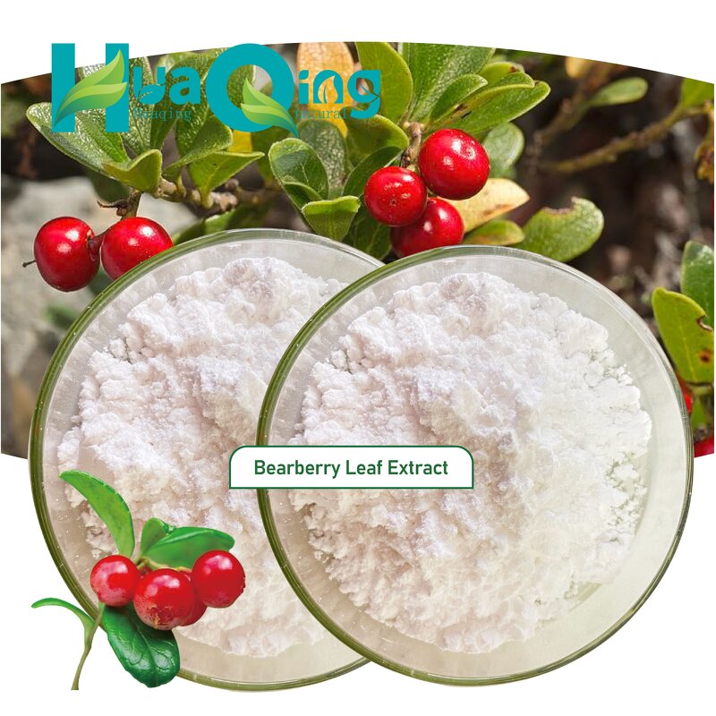 Bearberry Leaf Extract Manufacturer - Wholesale Bulk Best Price Powder