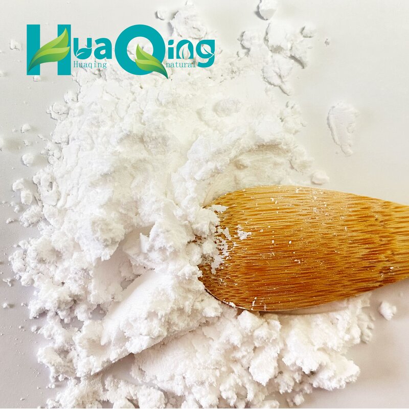 Bearberry Leaf Extract Manufacturer - Wholesale Bulk Best Price Powder