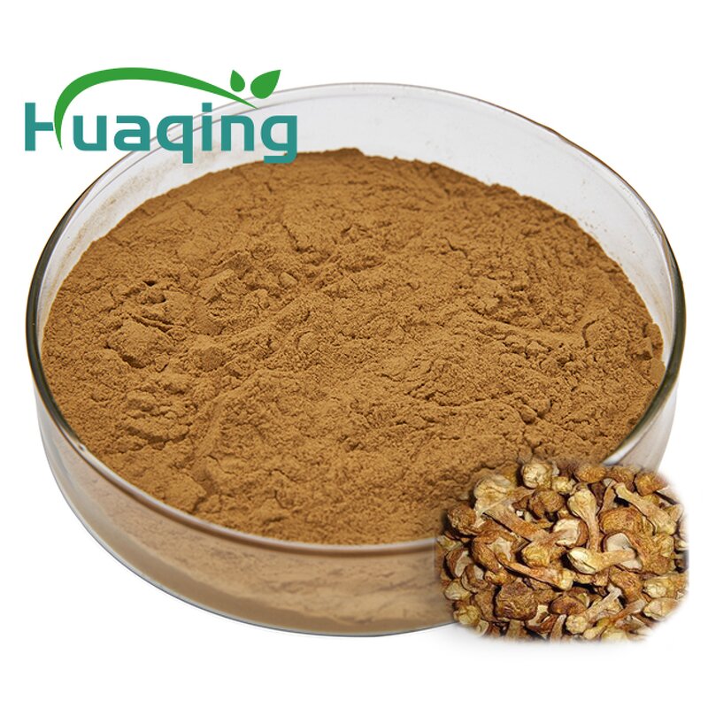 Pygeum Africanum Extract Manufacturer - 10:1 for Prostate Health Beta-Sitosterol