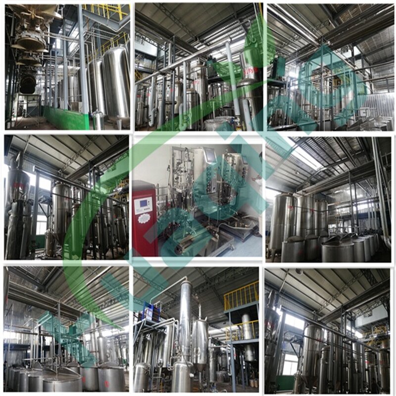 Wheat Grass Powder Manufacturer - Hot Sale Customized Organic Superfood