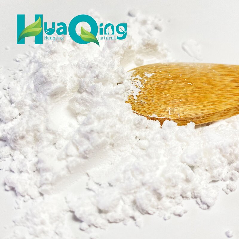 Bearberry Leaf Extract Manufacturer - Wholesale Bulk Best Price Powder