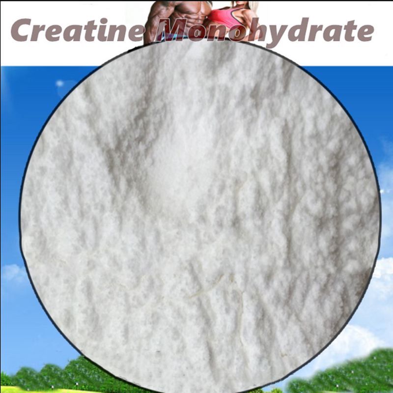 Creatine Monohydrate Powder Manufacturer - High Quality Food Supplement Bulk