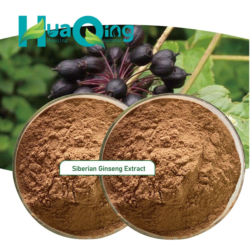 Ginseng Extract Manufacturer - Siberian & Korean Red Powder