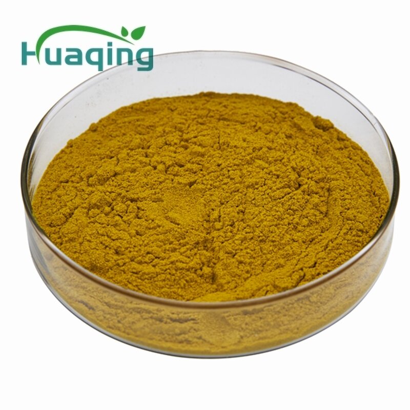 Coptis Chinensis Extract Manufacturer - Custom 10:1/50:1 Berberine 98%