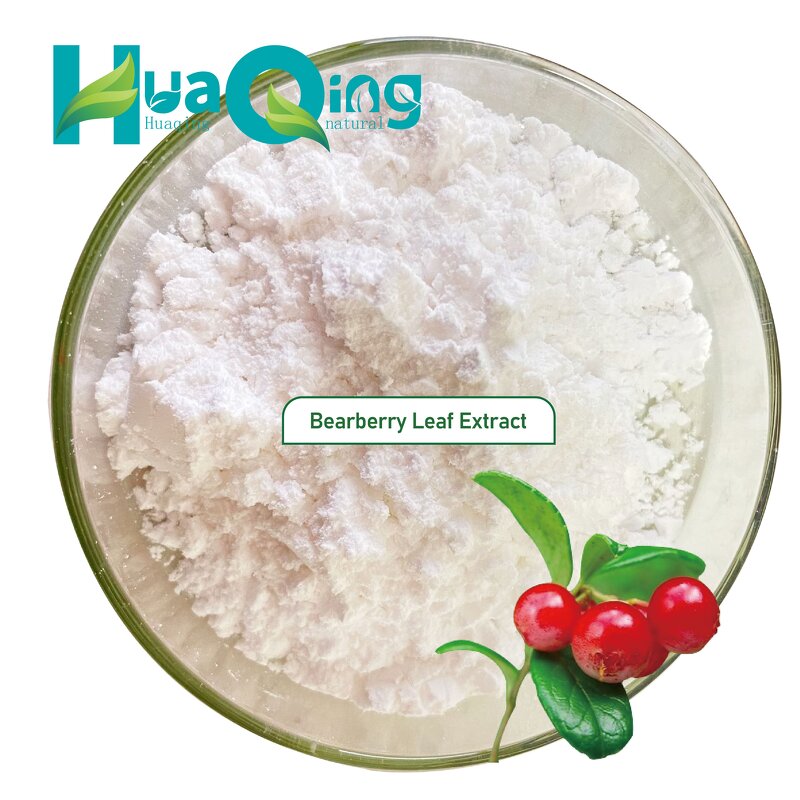 Bearberry Leaf Extract Manufacturer - Wholesale Bulk Best Price Powder