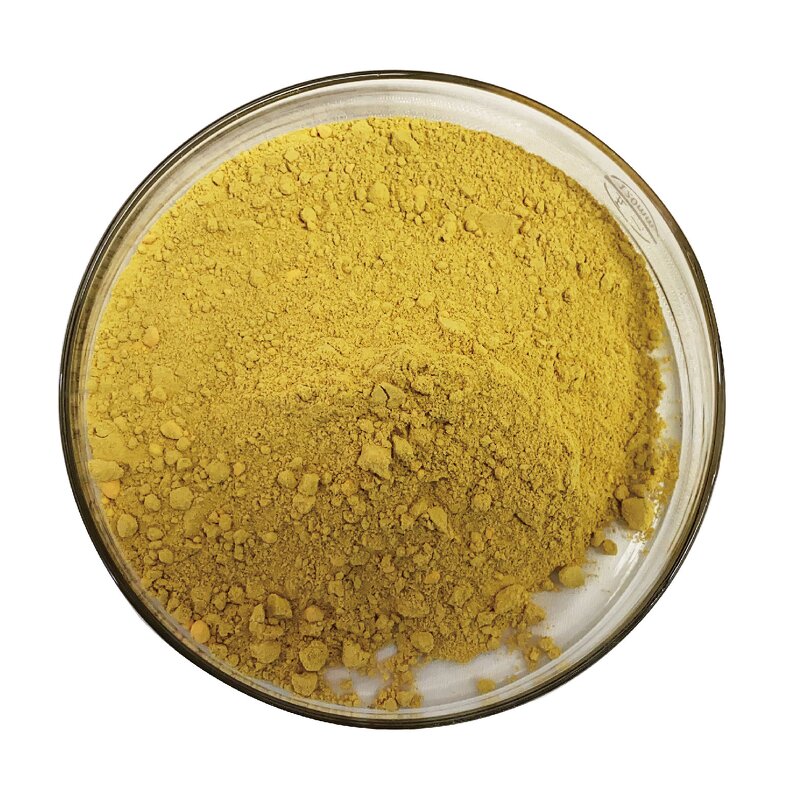 Dihydroberberine Powder Manufacturer - HUAQING HPLC 98% Cas 483-15-8