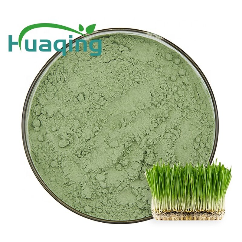 Wheat Grass Powder Manufacturer - Hot Sale Customized Organic Superfood