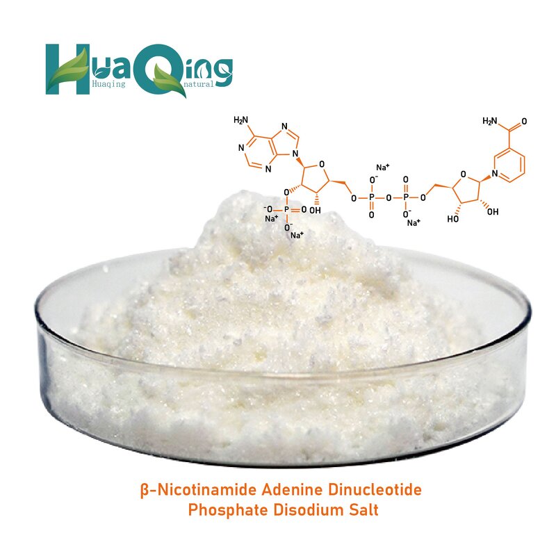 NMN Powder Manufacturer - BEST Bulk Beta Nicotinamide Mononucleotide 99%