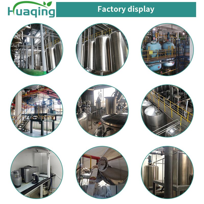 Wheat Grass Powder Manufacturer - Hot Sale Customized Organic Superfood