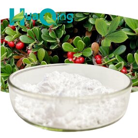 Bearberry Leaf Extract Manufacturer - Wholesale Bulk Best Price Powder