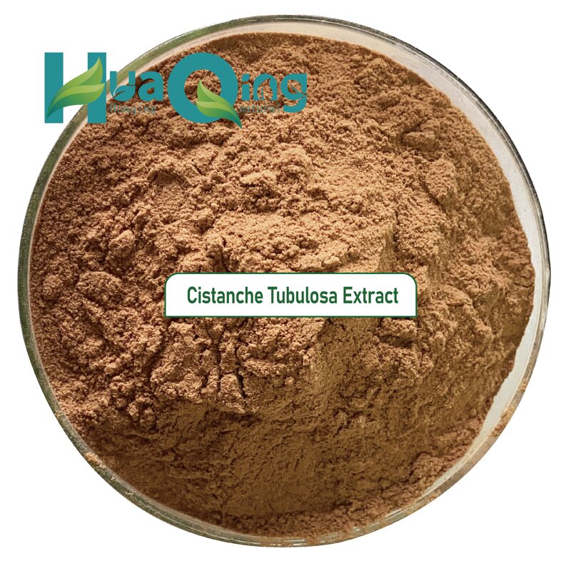 Cistanche Extract Capsules Manufacturer - OEM Private Label Vegan 500mg Echinacoside