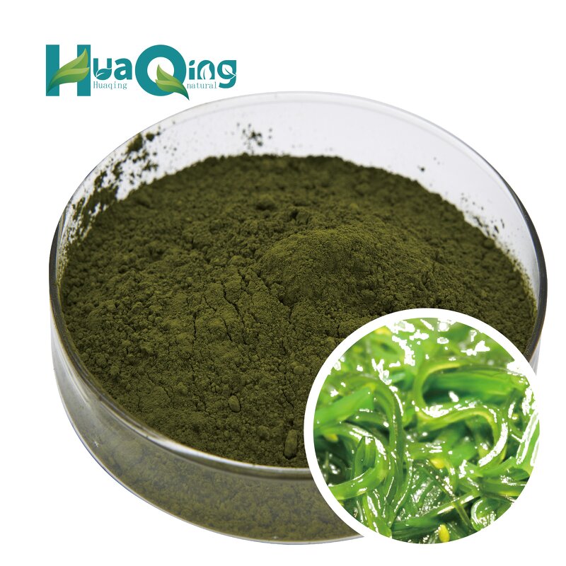 Chlorella Spirulina Tablets Manufacturer - 100% Pure Organic 250mg 500mg