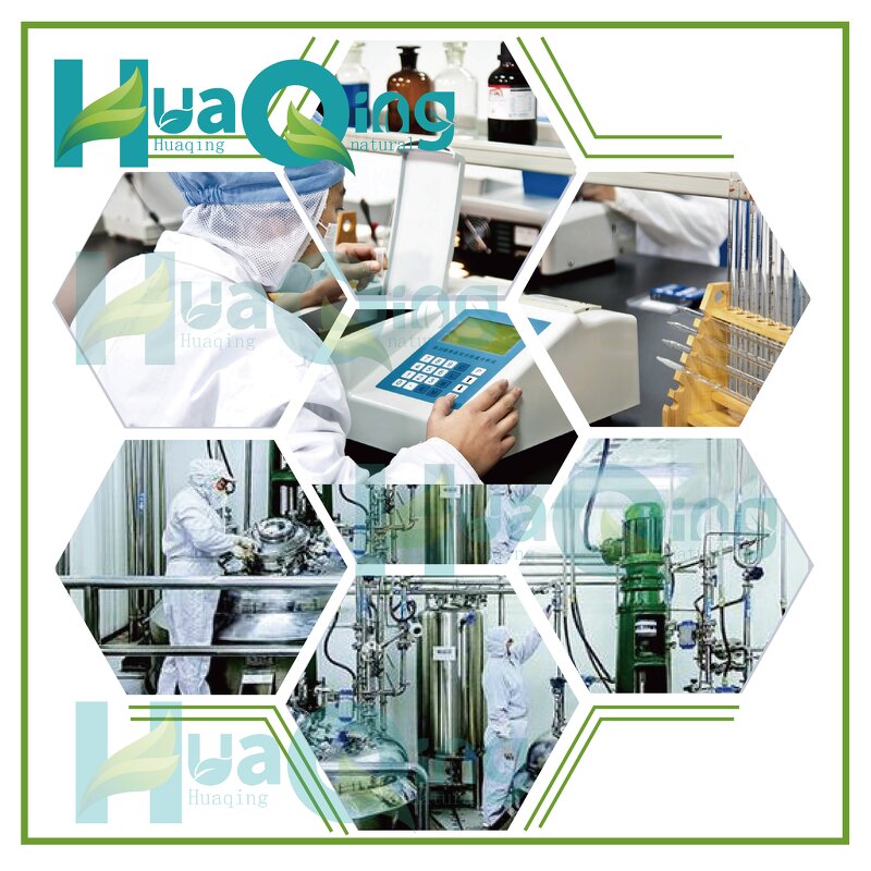 Whey Protein Powder Manufacturer - GMP Certified Concentrate/Isolate Bulk