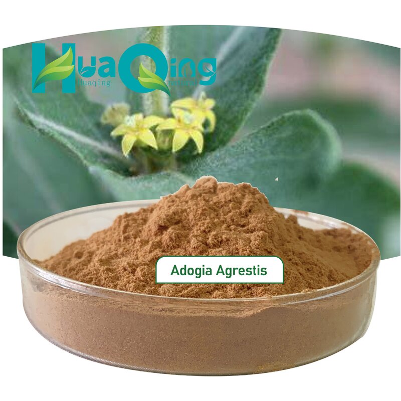 Fadogia Agrestis Extract Manufacturer - High Quality Adogia Stem Powder