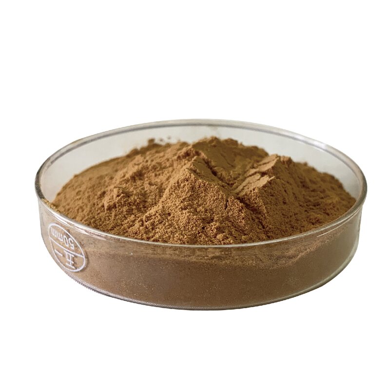 Reishi Mushroom Extract Manufacturer - Organic 30% 50% Polysaccharides GMP