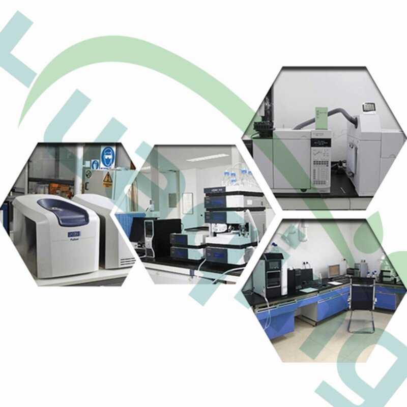 Agar Powder Manufacturer - Premium Customized for Food & Microbiology