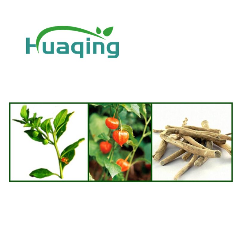 Ashwagandha Extract Manufacturer - Organic 20:1 for Stress Relief & Sleep