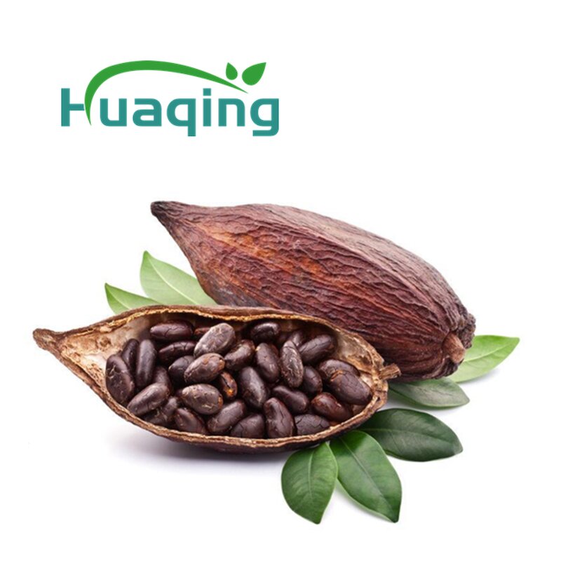 Cocoa Powder Manufacturer - Wholesale Cocoa Bean Powder
