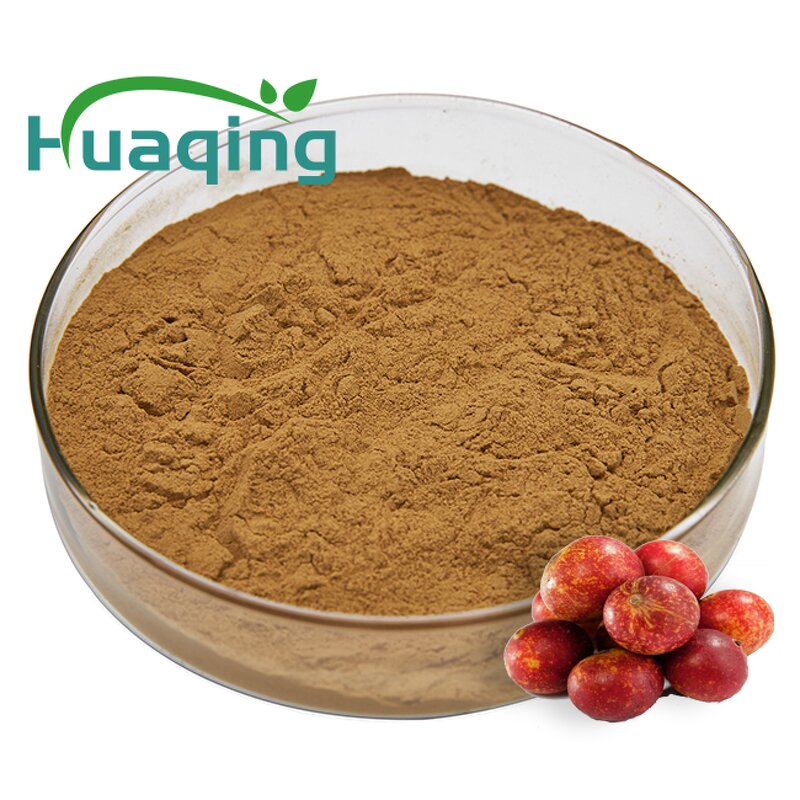 Camu Camu Powder Manufacturer - Freeze-Dried 50:1 Extract 60x Vitamin C
