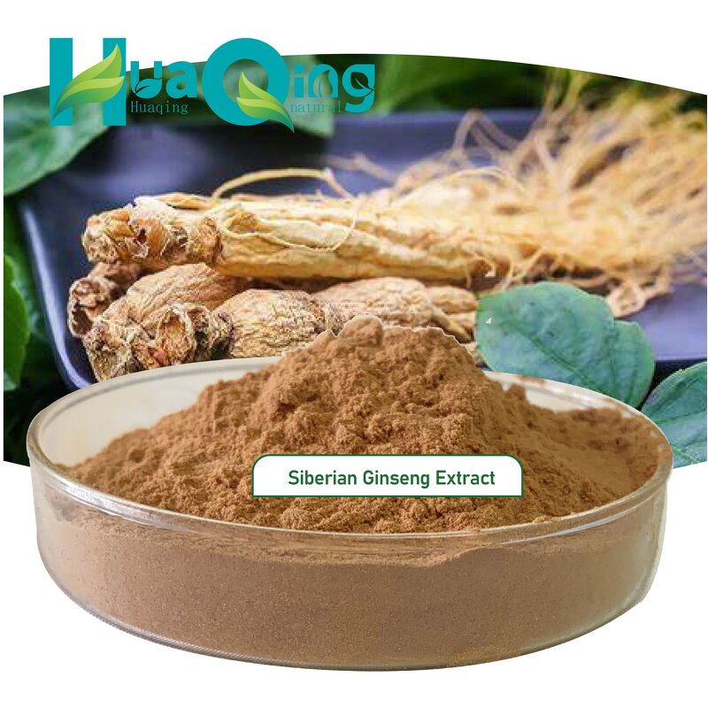 Ginseng Extract Manufacturer - Siberian & Korean Red Powder
