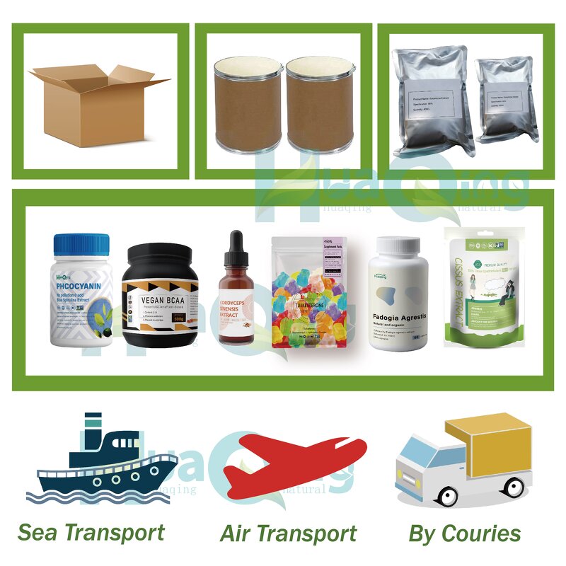 Creatine Monohydrate Powder Manufacturer - High Quality Food Supplement Bulk