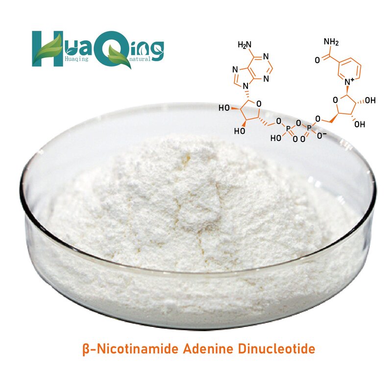 NMN Powder Manufacturer - BEST Bulk Beta Nicotinamide Mononucleotide 99%
