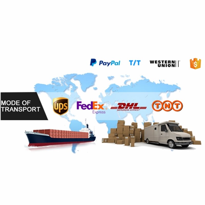 Agar Powder Manufacturer - Premium Customized for Food & Microbiology