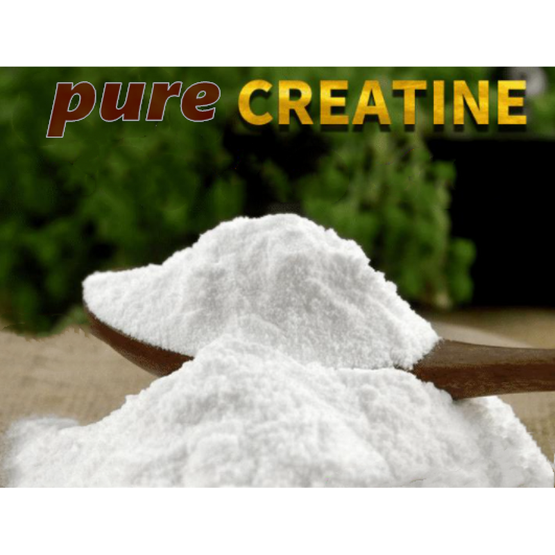 Creatine Monohydrate Powder Manufacturer - High Quality Food Supplement Bulk