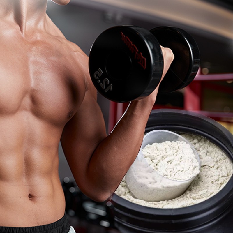 Source Factory High Protein Sports Supplement Powder for Weight Gain Custom Formula