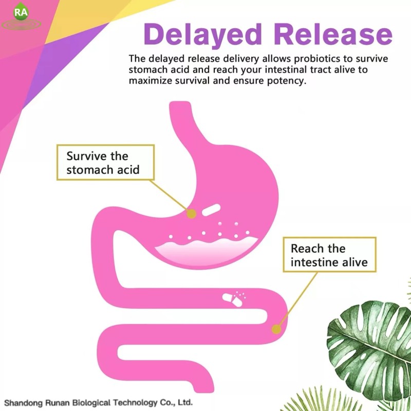 Private Brand Prebiotic Powder Supplements for Intestinal Health Immunity