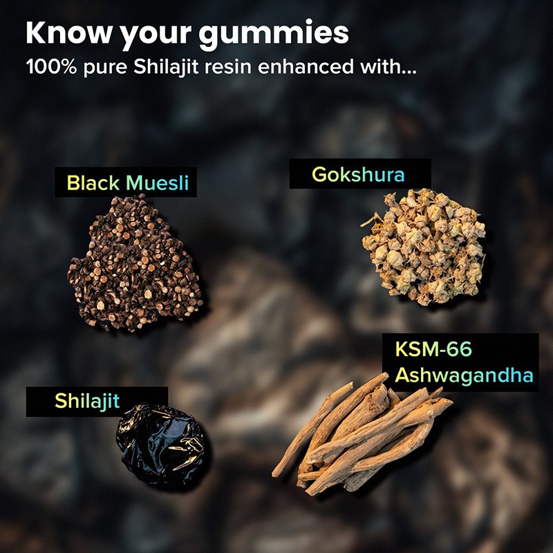 Factory Direct Shilajit Soft Gummies 60 Grains Herbal Supplements for Adults