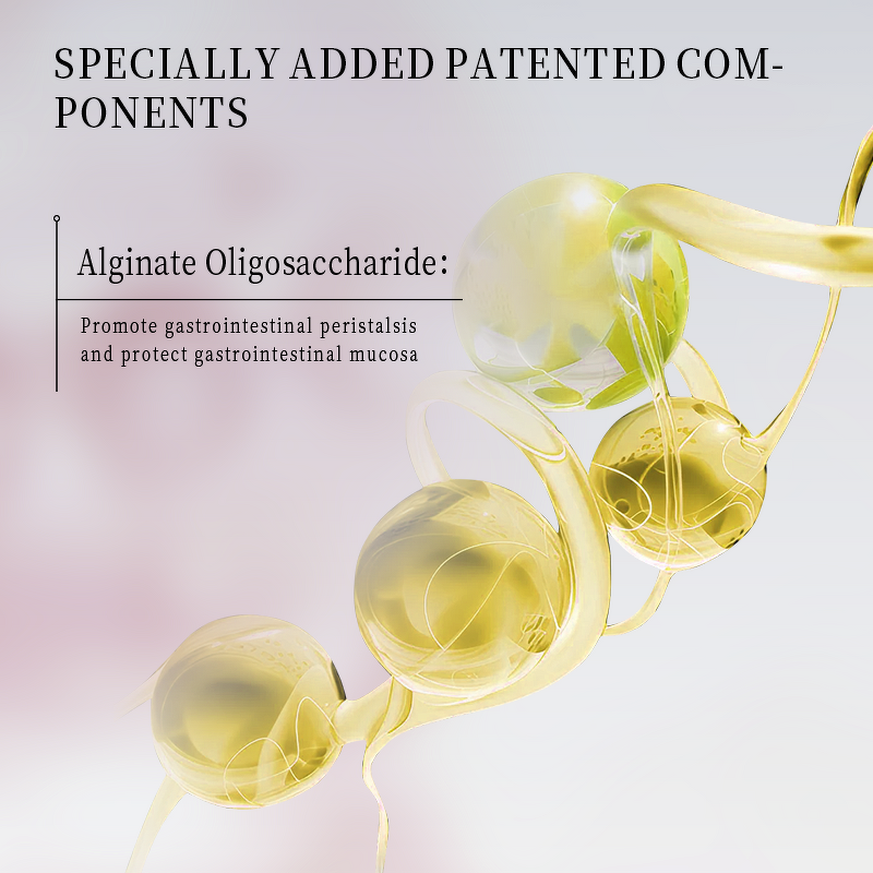 Intestinal Cleanse - Manufacturer Brown Algae Oligosaccharides Spleen Stomach