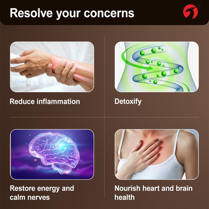 Coenzyme Q10 Capsules - Manufacturer Natural Herbal Heart Brain Health Energy