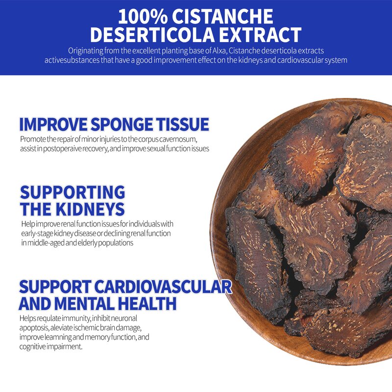 Kidney Health Capsule - Manufacturer OEM Cistanche Tubulosa Male Energy Stamina
