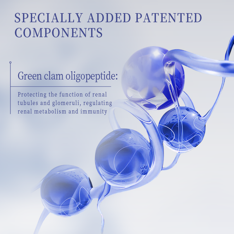 Clam Oligopeptides - Manufacturer Prostate Health Sleep Bladder Emptying Men