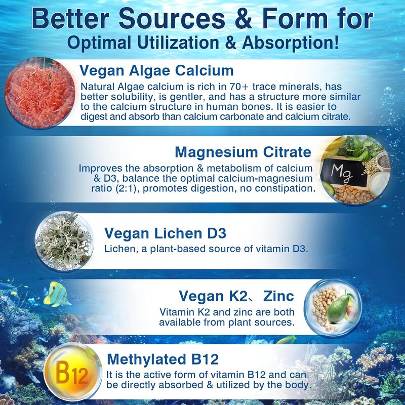 Liposomal Vitamin D3 K2 Capsules Manufacturer - Vigoworld 6-in-1 Vegan for Bone