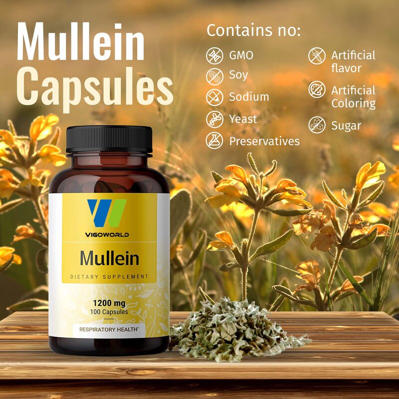 Mullein Leaf Extract Capsules Manufacturer - Organic Vegan for Digestive Immune & Sleep