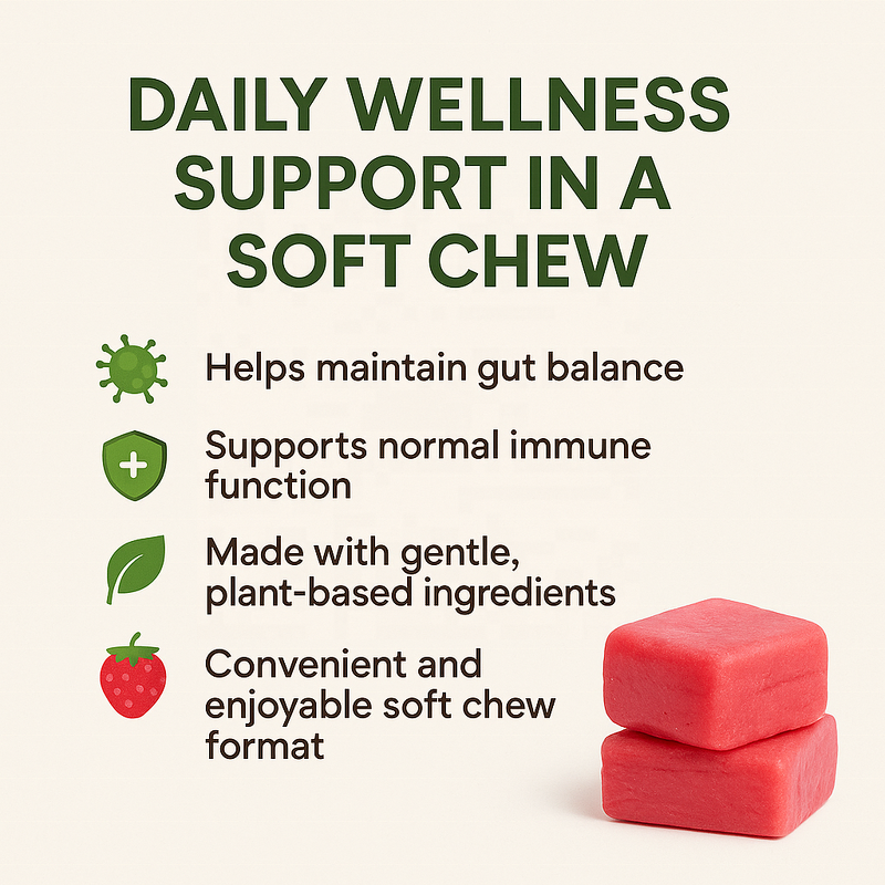 Probiotic Soft Chews Manufacturer - Vigoworld OEM Private Label for Digestive Support