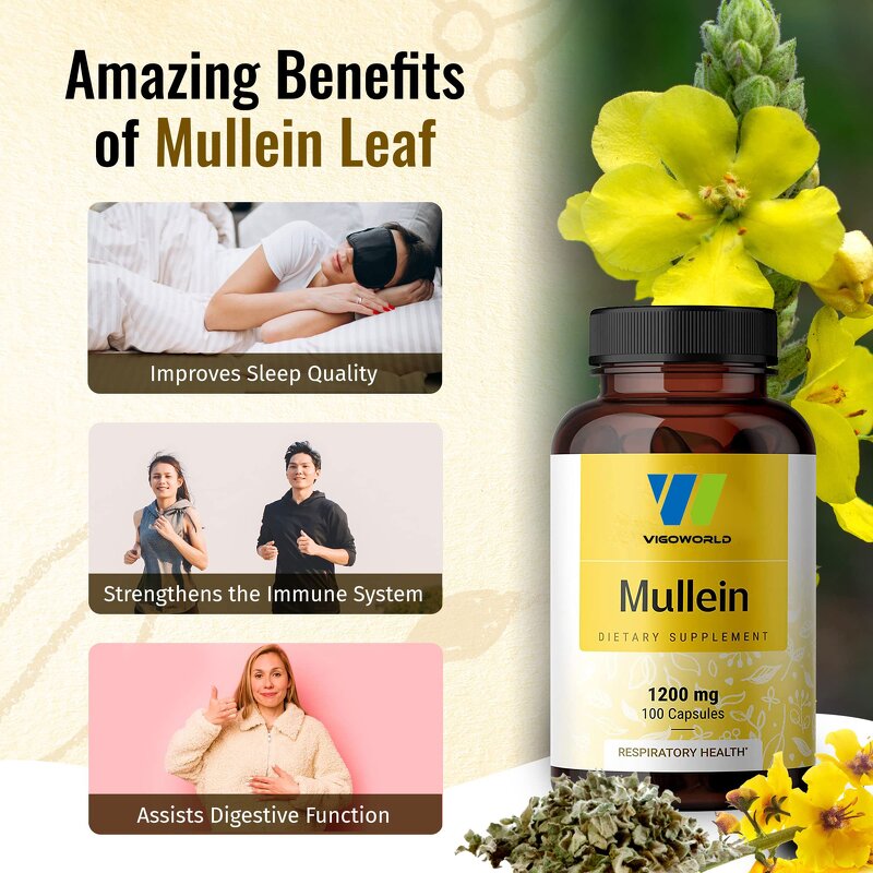 Mullein Leaf Extract Capsules Manufacturer - Organic Vegan for Digestive Immune & Sleep