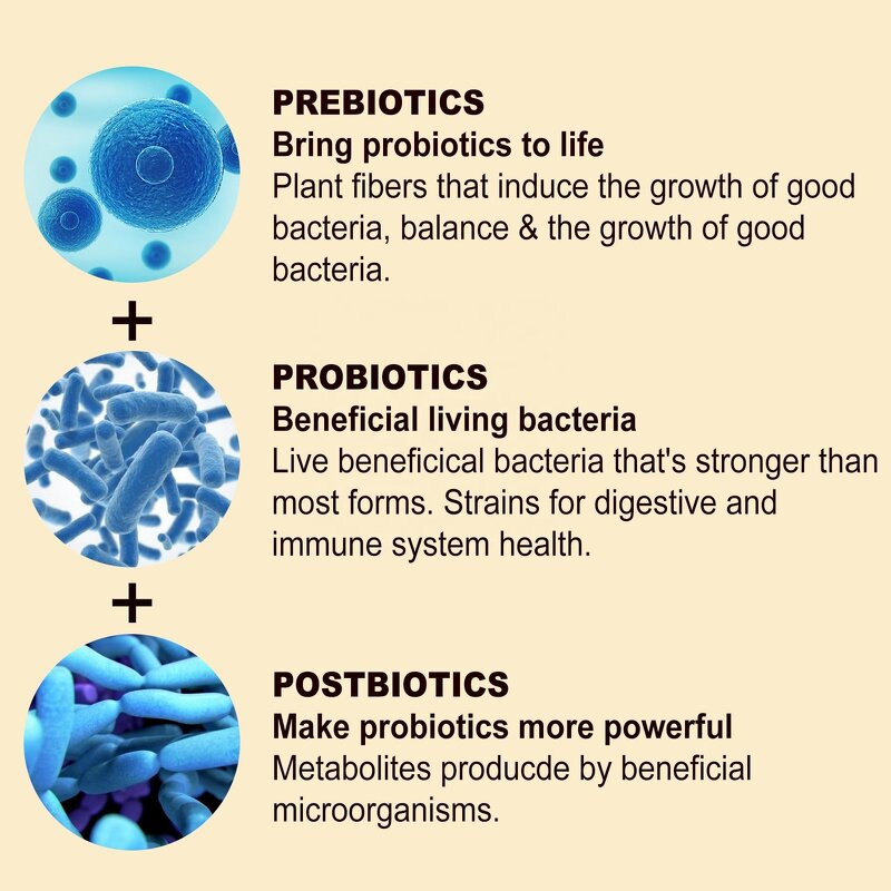 Turmeric Curcumin Gummies Manufacturer - Sugar Free 550mg for Joint Immune & Digestive