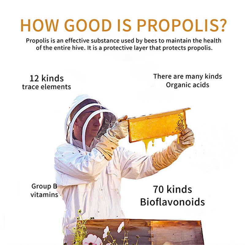 Ginseng Royal Jelly Capsules - Manufacturer OEM Flower Essence Natural Brew Skin