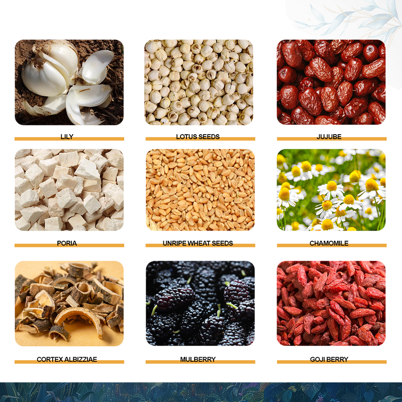 Sleep Tea Manufacturer - Organic Herb for Better Skin & Sleep