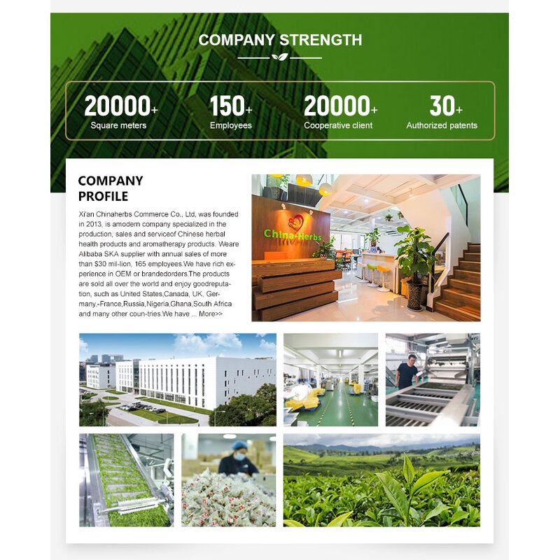 Womb Wellness Tea Manufacturer - Hot Selling Natural Herbal Tea